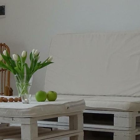 Casalba Apartment Balestrate Bagian luar foto